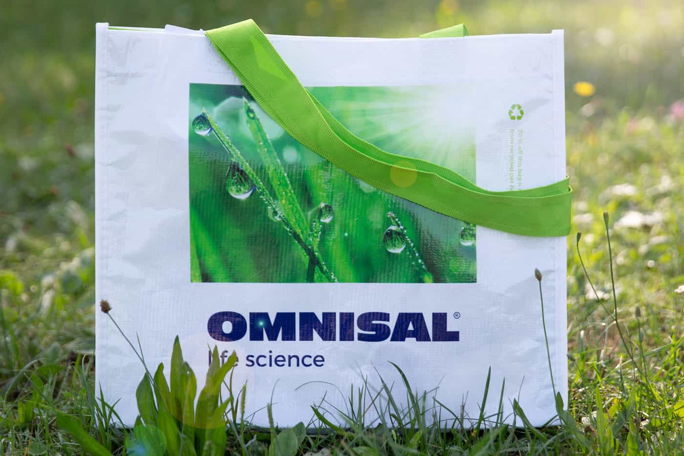 RPET Bag