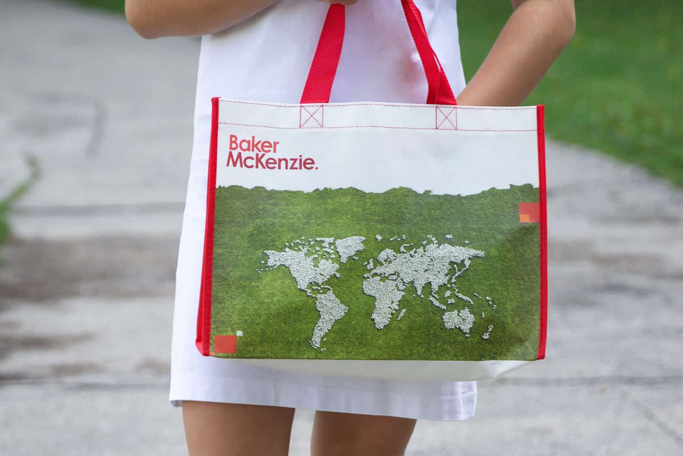 Non Woven Bag