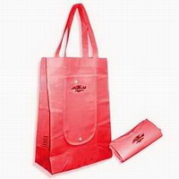 Foldable Bag