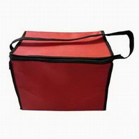 Cooler bag