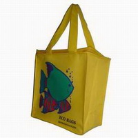 Cooler bag