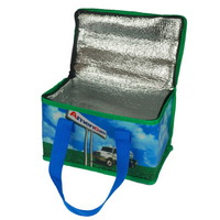Cooler bag